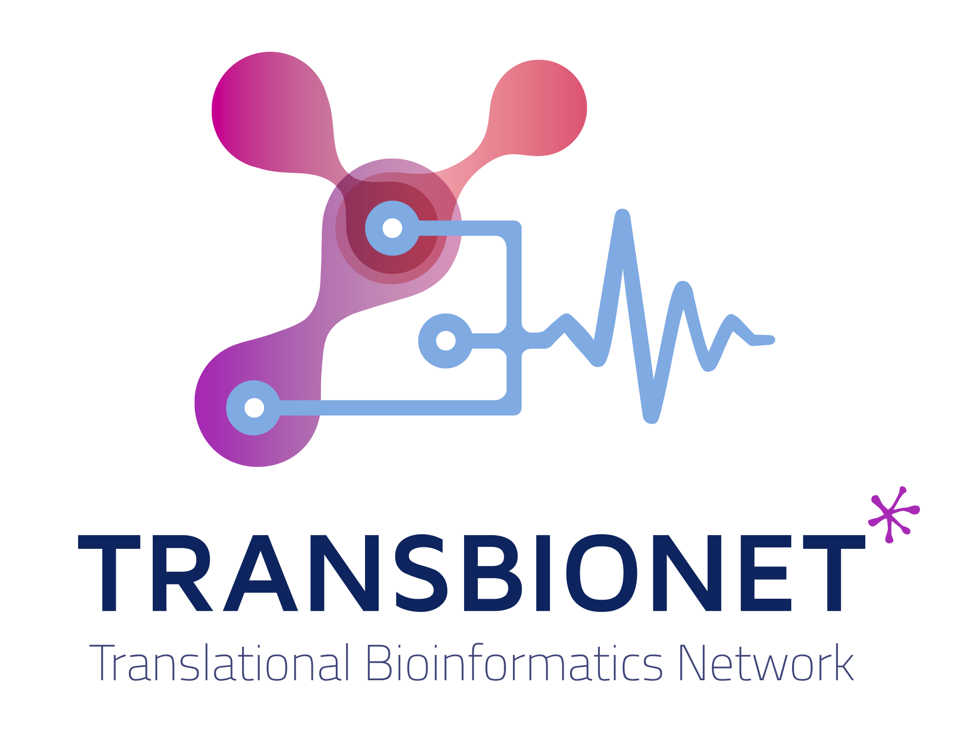 TransBioNet